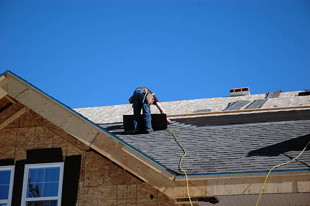 Best Roof Gutter Cleaning  in Linden, AZ