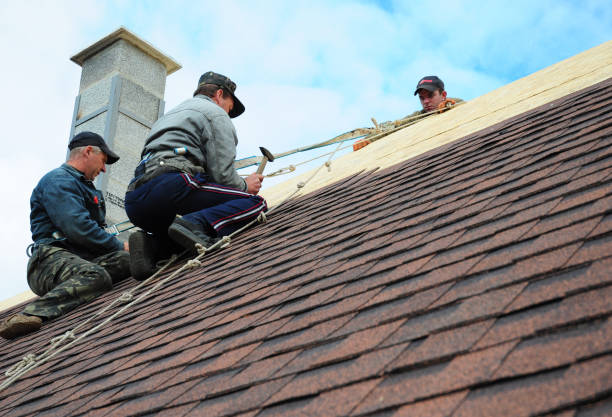 Best Residential Roofing Contractor  in Linden, AZ