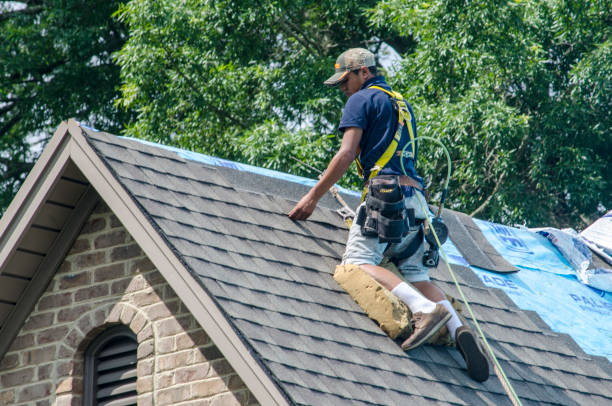 Best Gutter Installation and Roofing  in Linden, AZ
