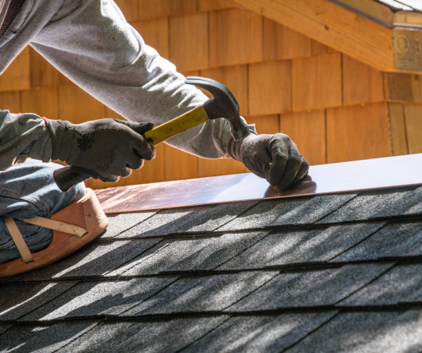 Best Metal Roofing Contractor  in Linden, AZ